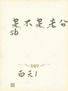 是不是老公的小sb