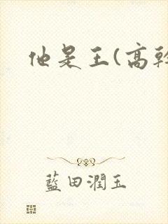 他是王(高干)