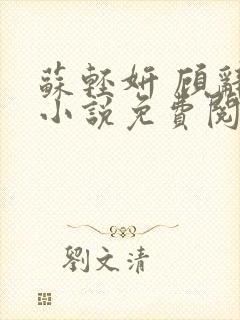 苏轻妍 顾辞笙小说免费阅读