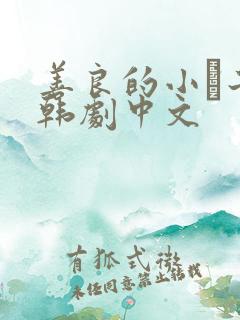 善良的小峓子2韩剧中文