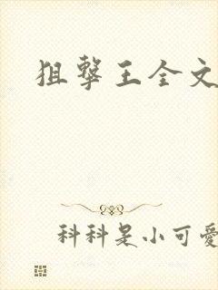 狙击王全文阅读