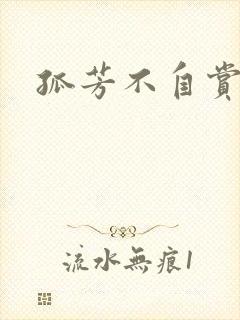 孤芳不自赏小说