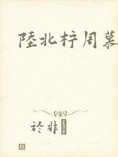 陆北柠周慕深