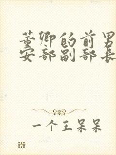 董卿的前男友公安部副部长