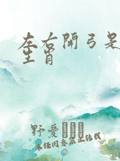 左右开弓是什么生肖