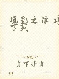 猎影之狼 暗夜下载