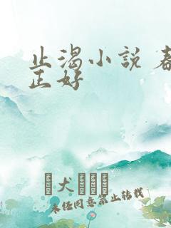 止渴小说 春光正好