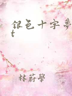银色十字梦txt