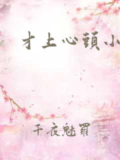 才上心头小说