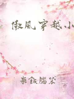 傲风穿越小说吧