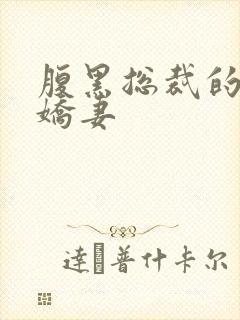 腹黑总裁的双面娇妻