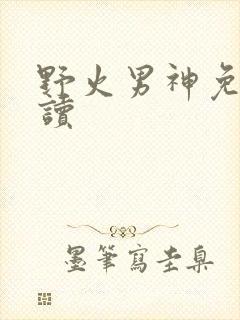 野火男神免费阅读