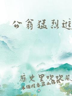 公翁猛烈进出H