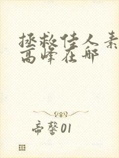 拯救佳人素柔 高峰在哪