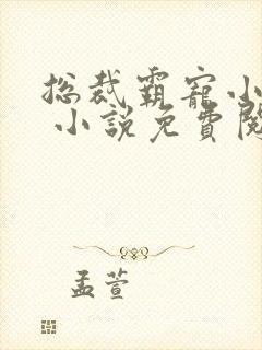 总裁霸宠小娇妻 小说免费阅读