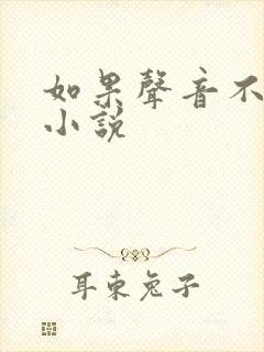 如果声音不记得小说