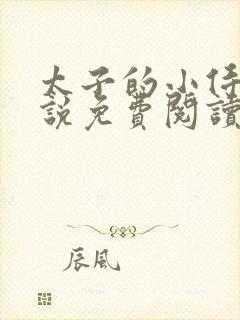 太子的小侍妾小说免费阅读全文