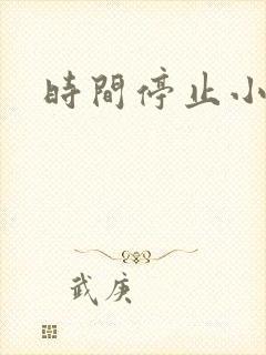时间停止小说