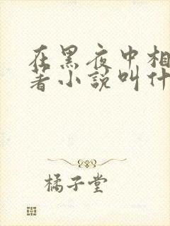 在黑夜中相拥原著小说叫什么