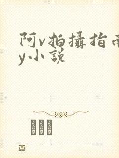 阿v拍摄指南by小说