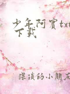 少年阿宾txt 下载