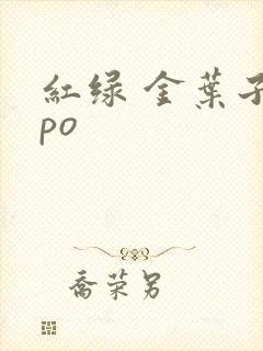 红绿 金叶子 po