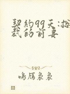 契约99天:总裁的前妻