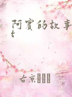 阿宾的故事txt