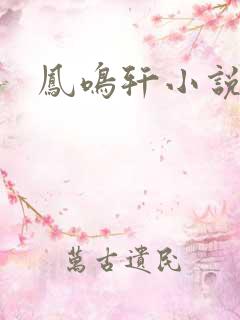 凤鸣轩小说