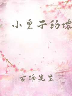 小皇子的坏王妃