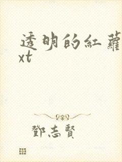 透明的红萝卜txt