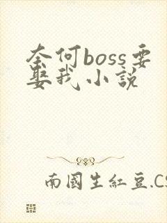 奈何boss要娶我小说
