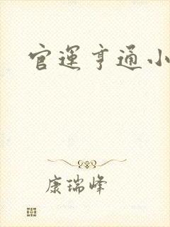 官运亨通小说