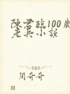陈君临100岁老兵小说