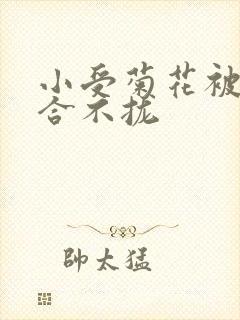 小受菊花被双龙合不拢