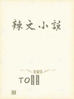 辣文小说