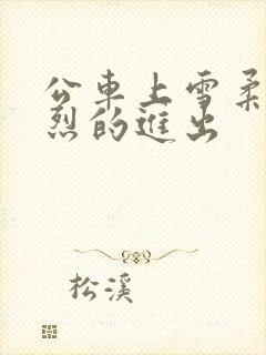 公车上雪柔被猛烈的进出