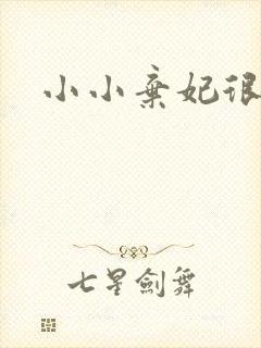 小小弃妃很倾城