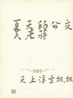 夏天的公交车老吴老蒋