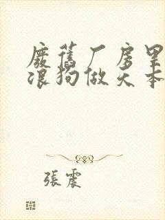 废旧厂房里和流浪狗做天本