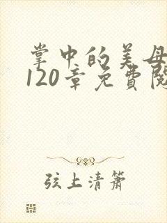 掌中的美母版主120章免费阅读