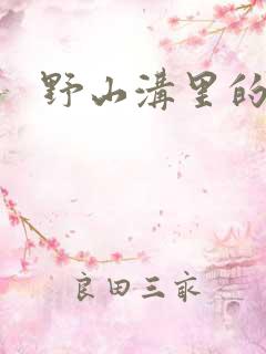 野山沟里的村庄