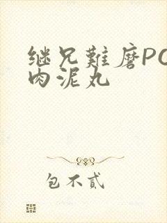 继兄难磨PO猪肉泥丸