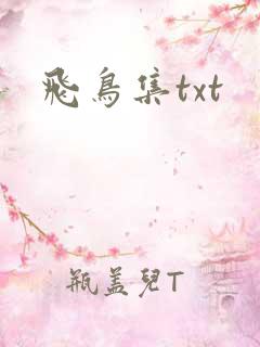 飞鸟集txt