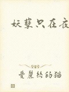 妖孽只在夜里哭