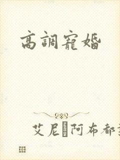 高调宠婚