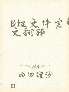 B级文件完整中文翻译