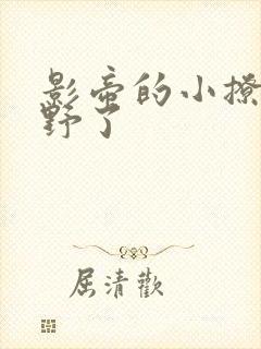 影帝的小撩精太野了