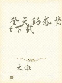 登天的感觉txt下载