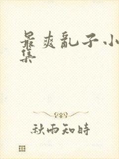 最爽乱子小说合集